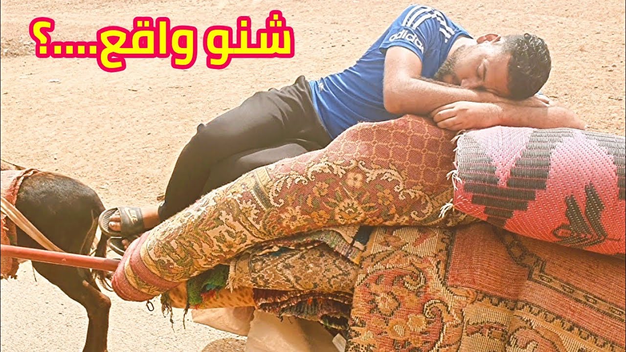 هذا مجرم خرجليهم عقلهم ...؟  😂😂 ومي حدهوم قالتها قد راسها تقطعو ليها فرانات  ههههه .....؟🤭🤭