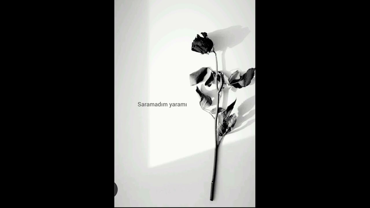 Saramadım yaramı- İçim dışım müzik 