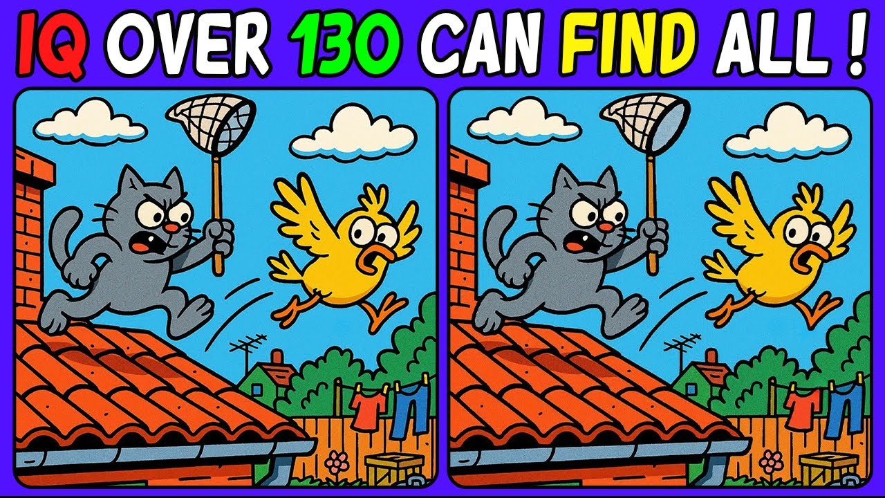 💣Spot the difference: Daily Cognitive Exercise! Find What’s Different. ( find difference #424 )