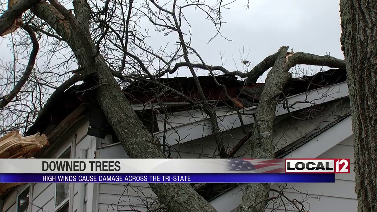 Tri-State homes experience damage from wind; Here's what to do if this happens to you: