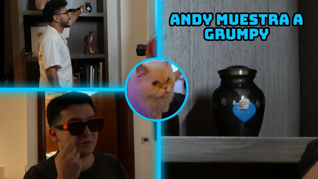ELZEEIN MUESTRA A GRUMPY 