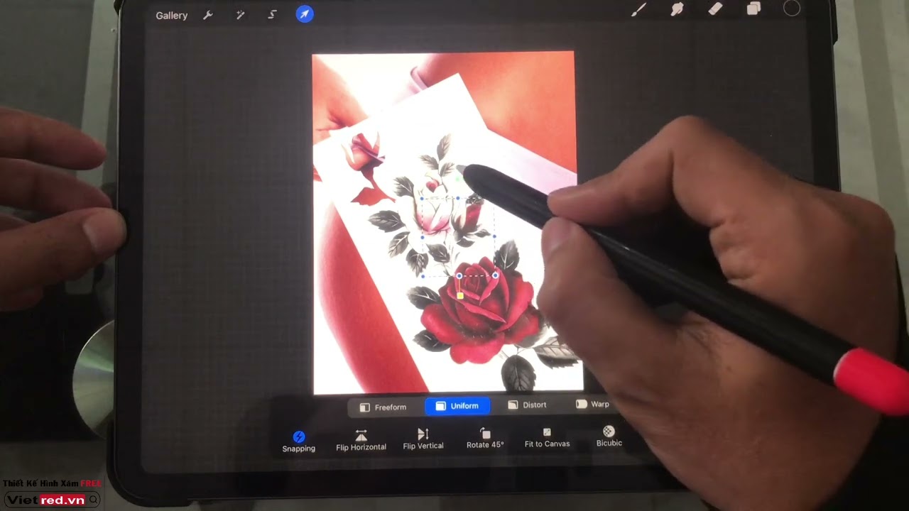Thiết kế hình xăm trên ipad cho khách xem trước để chọn