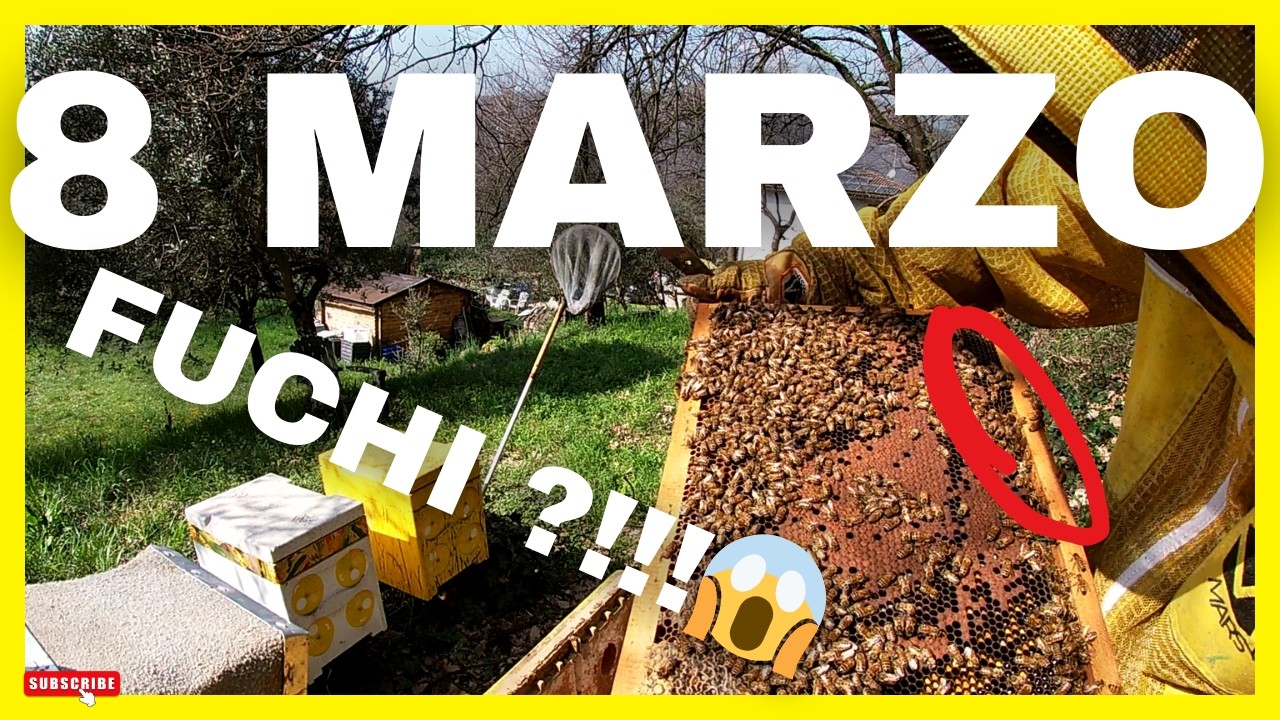 Apicoltura || QUA siamo troppo AVANTI! | PRESSING o no?!!