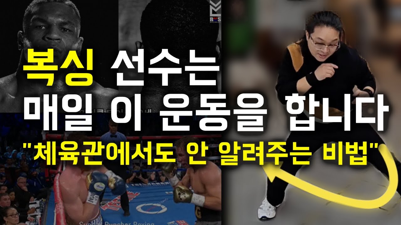 복싱 체육관 등록전에 알아두면 좋은 운동법 격투기 원리 스트레칭 훅 잘치는법 어퍼컷 방어 잘하는 법