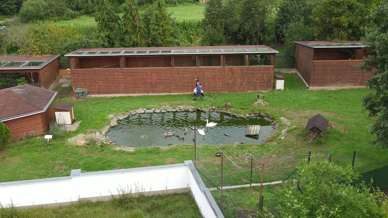 Krmení zvířátek, sypání do krmelců, Makov 1.9.2022