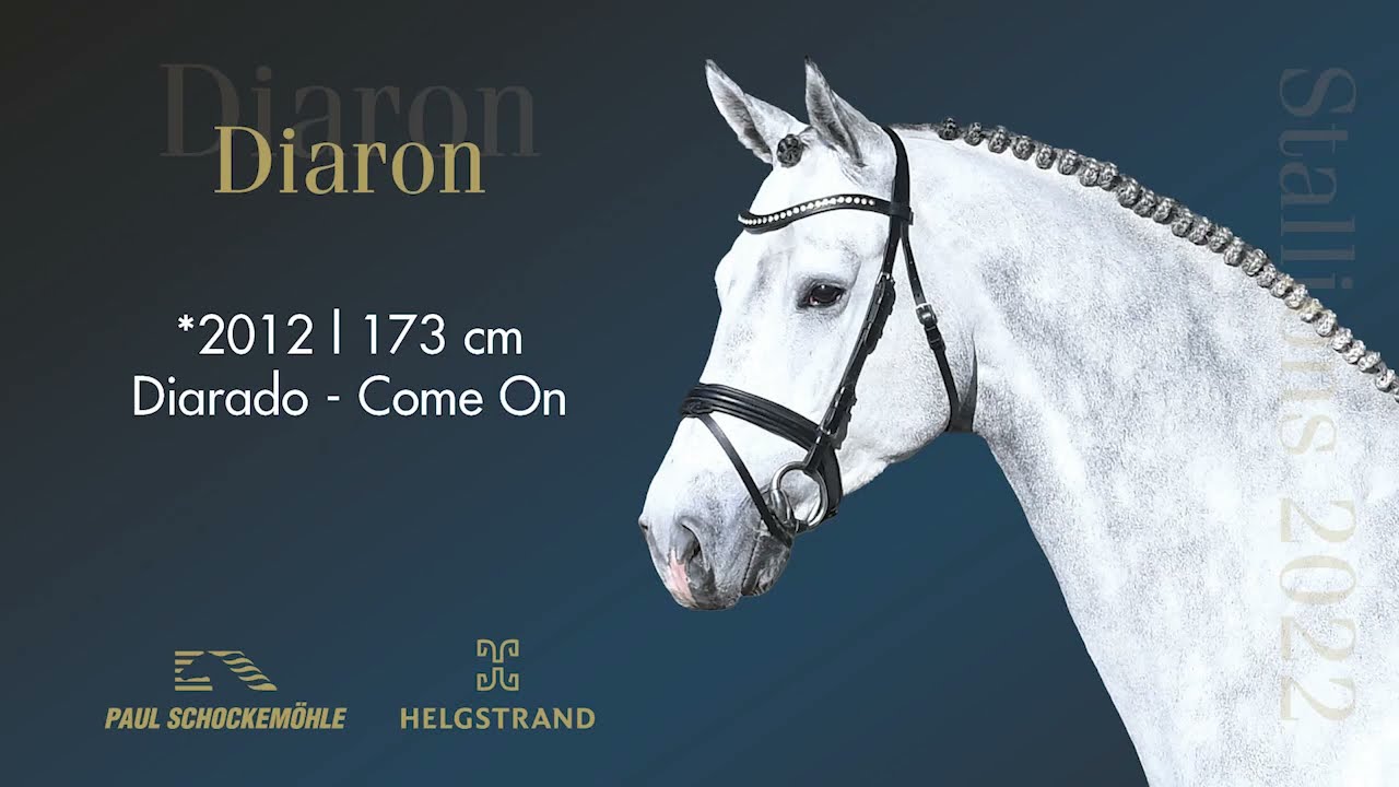 Diaron - Jumping Collection Schockemoehle & Helgstrand 2022 (ENG)