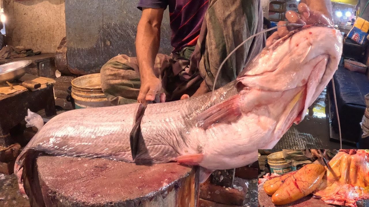 Unbelievable 17KG Boal Fish Cutting | Wallago Attu With Huge Eggs 🐟🔪