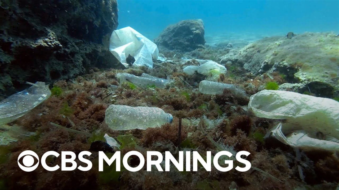 Scientists explore deep sea plastic trash crisis off Panama