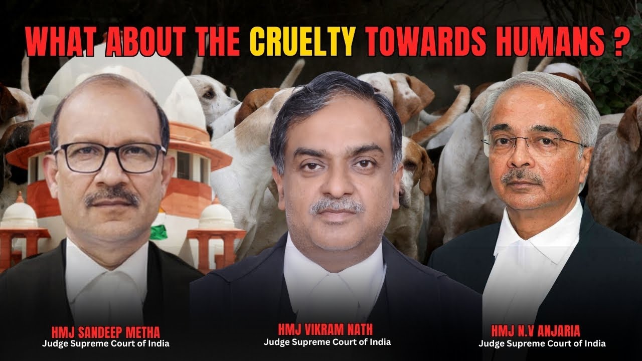 Что насчёт жестокого обращения с людьми: Верховный суд обратился к адвокату, который сообщил о же...