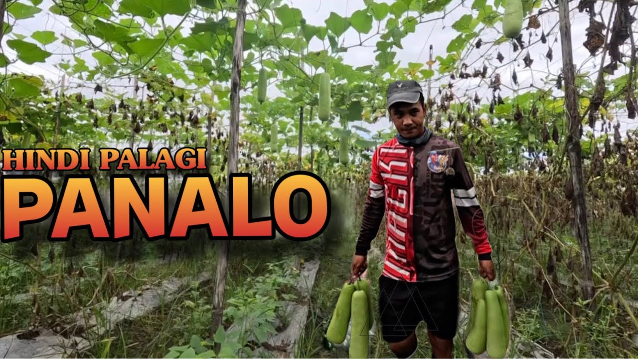 PASALAMAT KAHIT GANITO ANG NANGYARI