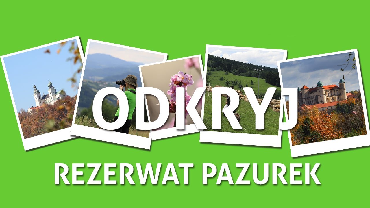 Odkryj Rezerwat Pazurek | Park Krajobrazowy Orlich Gniazd