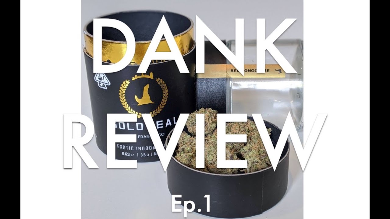 Red Congolese (Gold Seal) | Dank Review Ep.1 | Top Shelf Cannabis Strains
