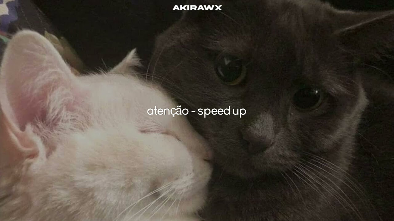 pedro sampaio, luisa sonza - atenção (speed up)