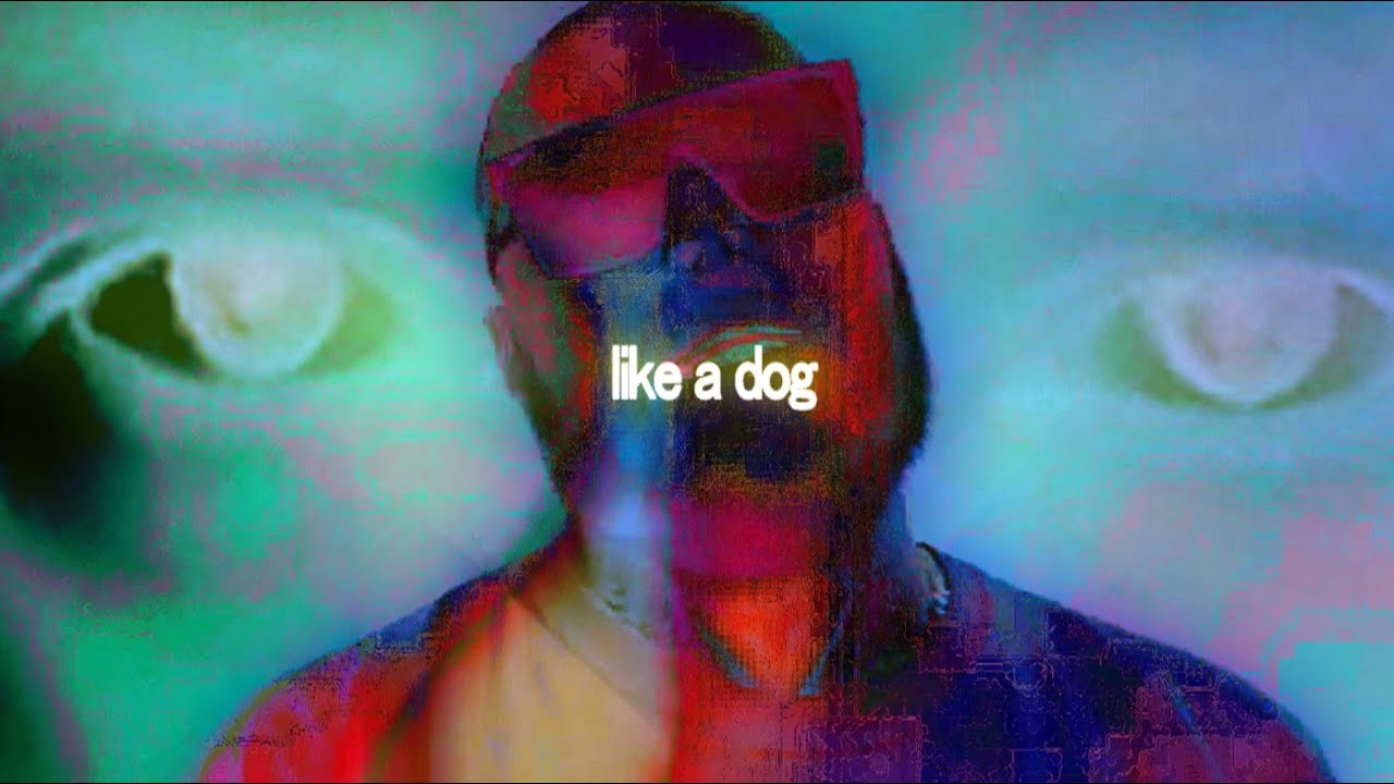 BBB.zip - like a dog