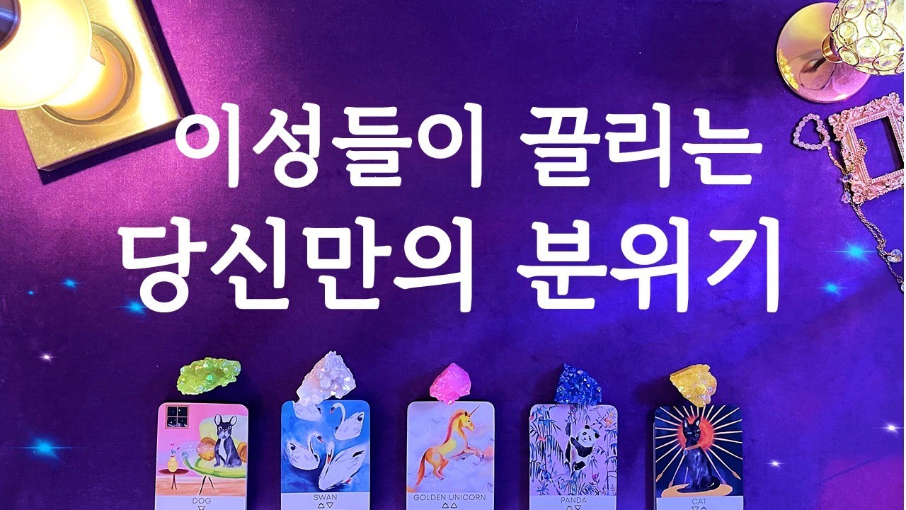 [타로]이성이 보는 나의 매력