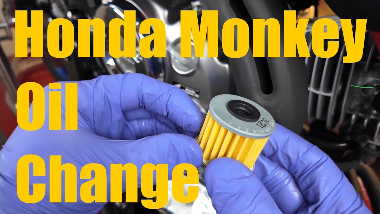 Oil Change Honda Monkey 125