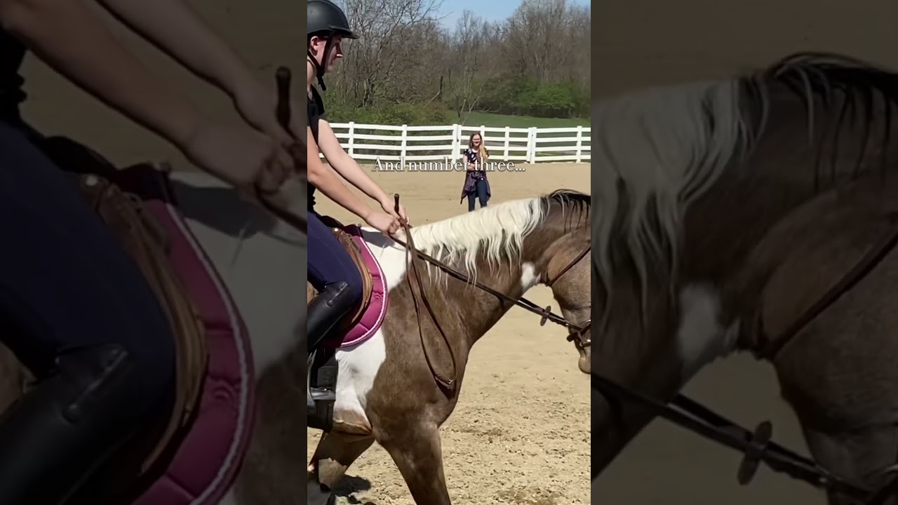 Three things&hellip; #fypシ #viral #horse #equestrian #edit #tiktok #zelda #inspiration