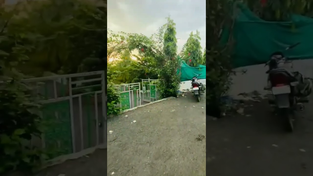 AL BARKAT FARM HOUSE