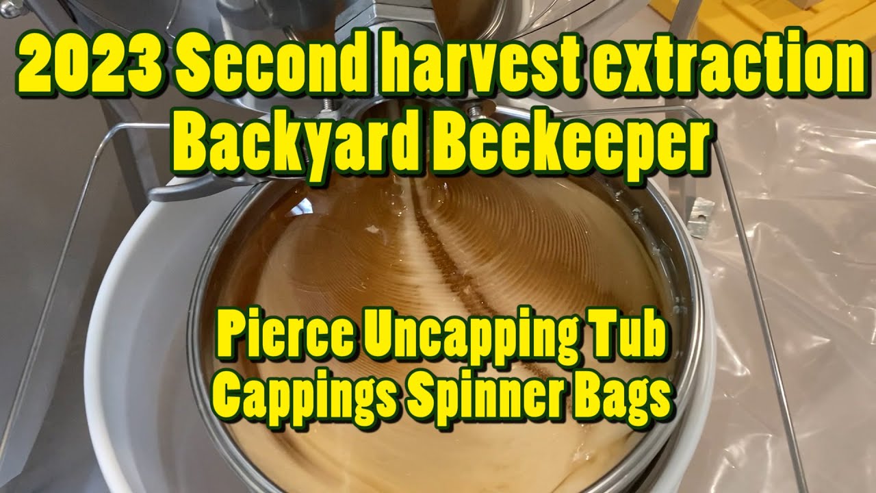 ❸ Honey Extraction!  Our small scale backyard beekeeper extraction process and equipment.