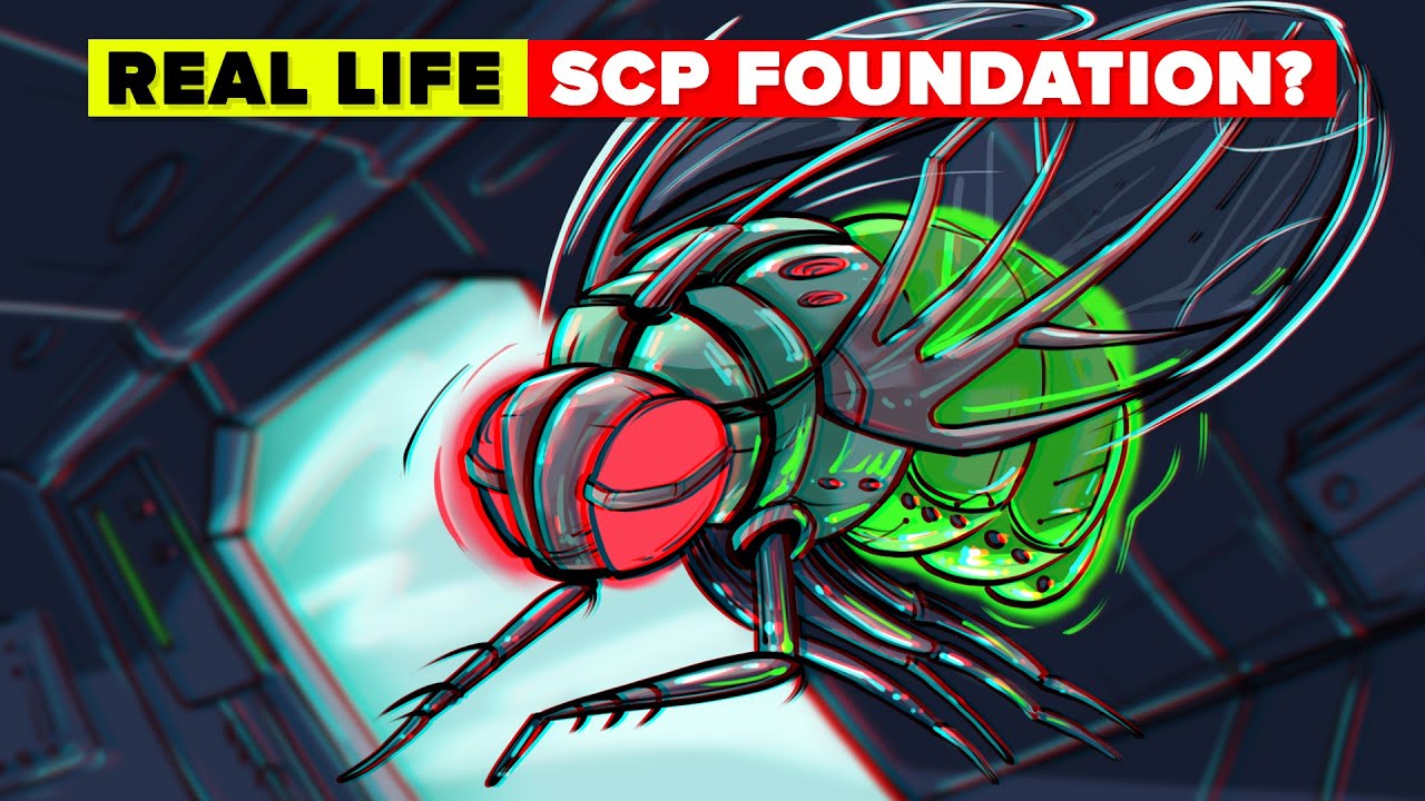 Is DARPA Real Life SCP Foundation? What Actually Is DARPA