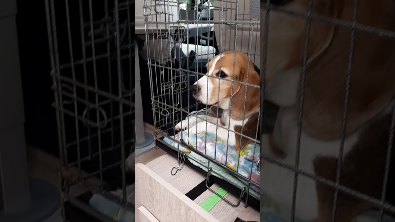 Roomtour Wohnmobil 2019