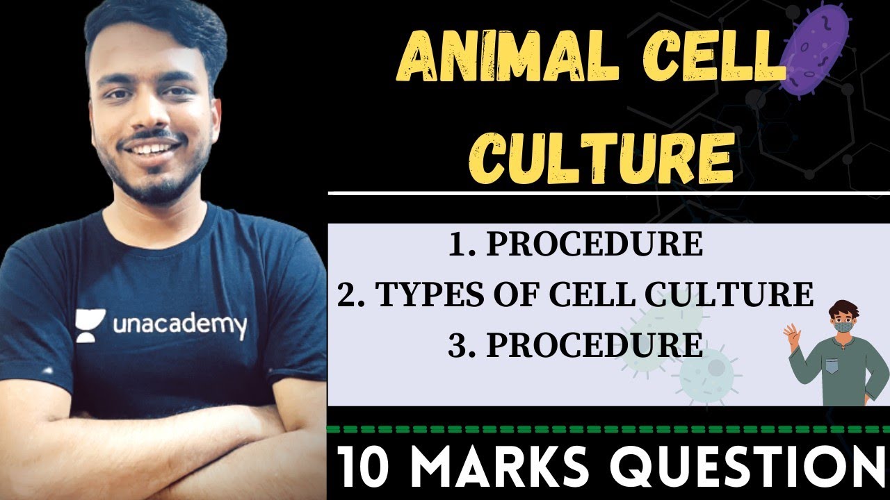 growth of animal cells in culture || procedure of animal cell culture | applications of cell culture