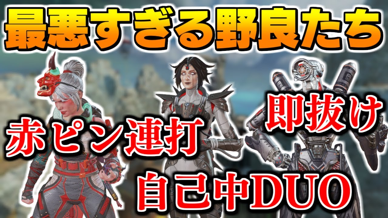 今まで出会った害悪野良を全員晒します【APEX/marunnn】