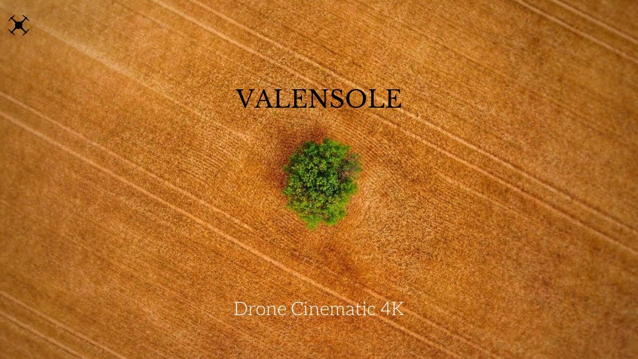 Drone Cinematic 4K | FRANCE | Colors of Valensole
