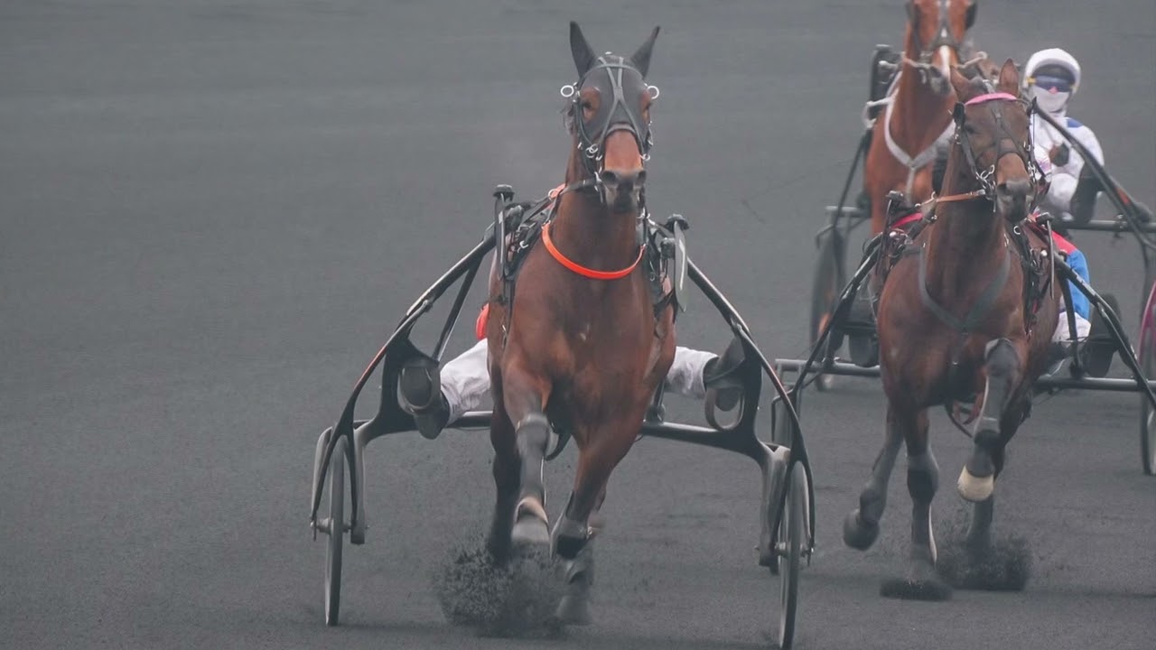 La Folie douce Hippodrome Paris-Vincennes