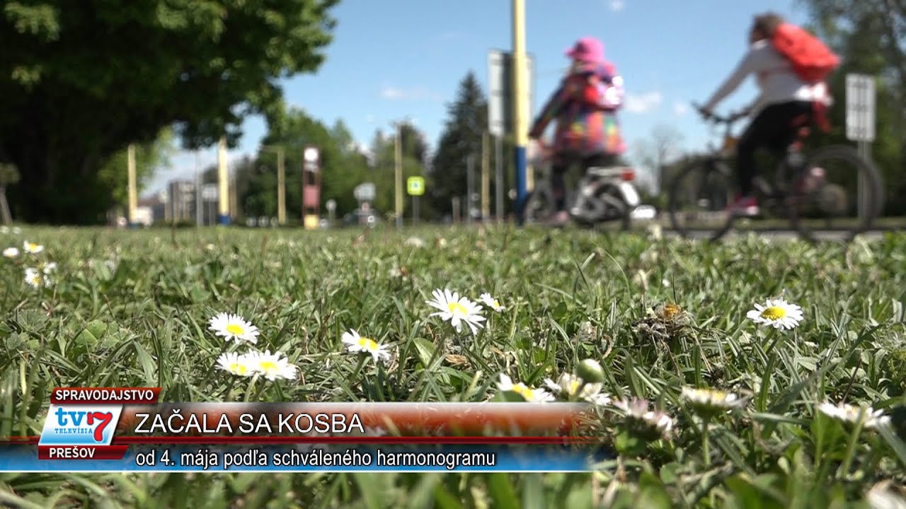 Začala sa kosba