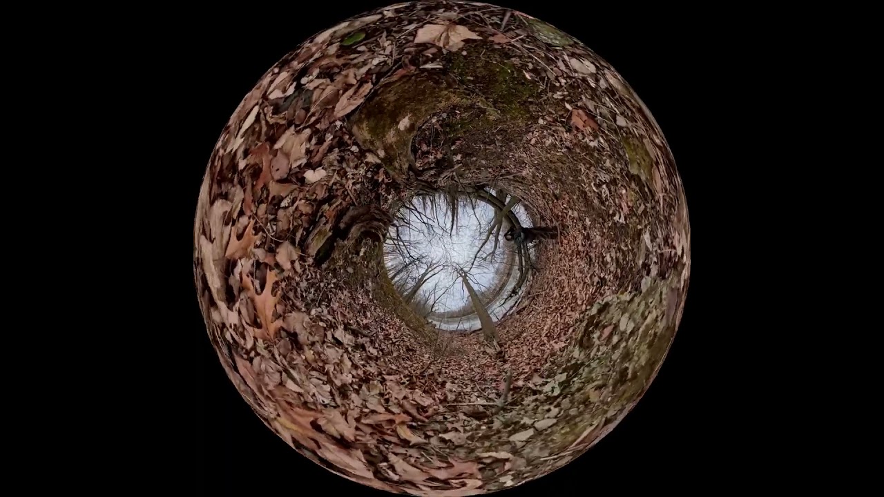 Charles River Abattoir, Jan 2026 #14 (360-degree DOME) 4K