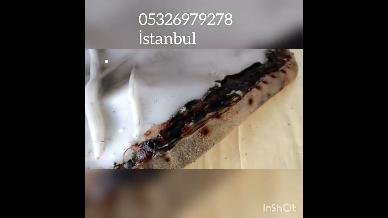 Visko; Sele nasıl yumuşatılmaz. Kutu Açılışı. Konfor sele