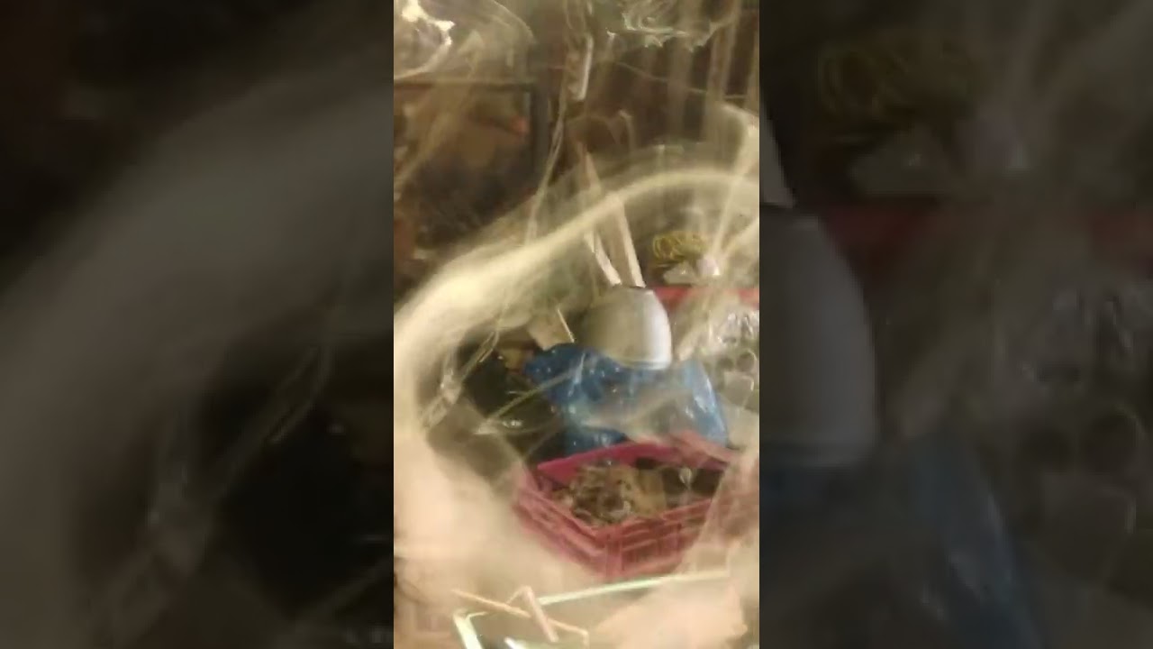 smoke demons