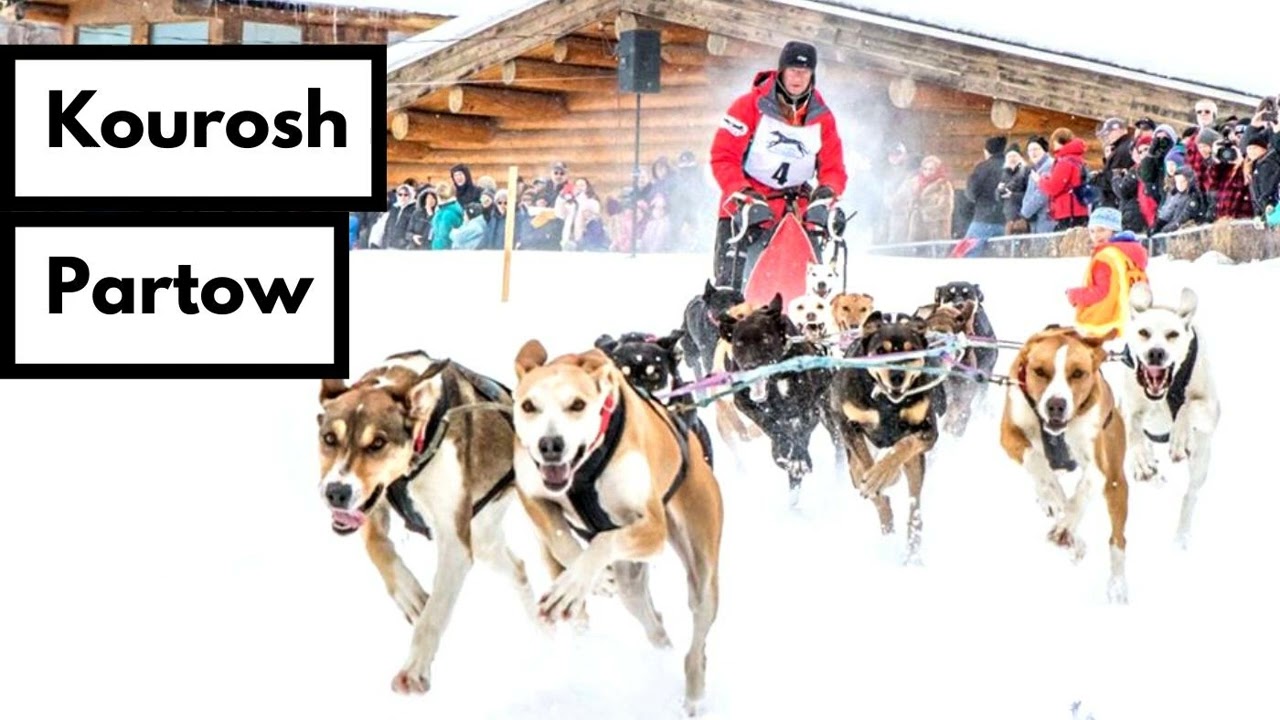 Champion Dog Driver Kourosh Partow