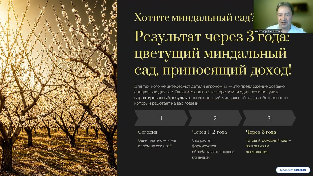 Оплатите миндальный сад под ключ и получите гарантированный результат, приносящий прибыль годами!