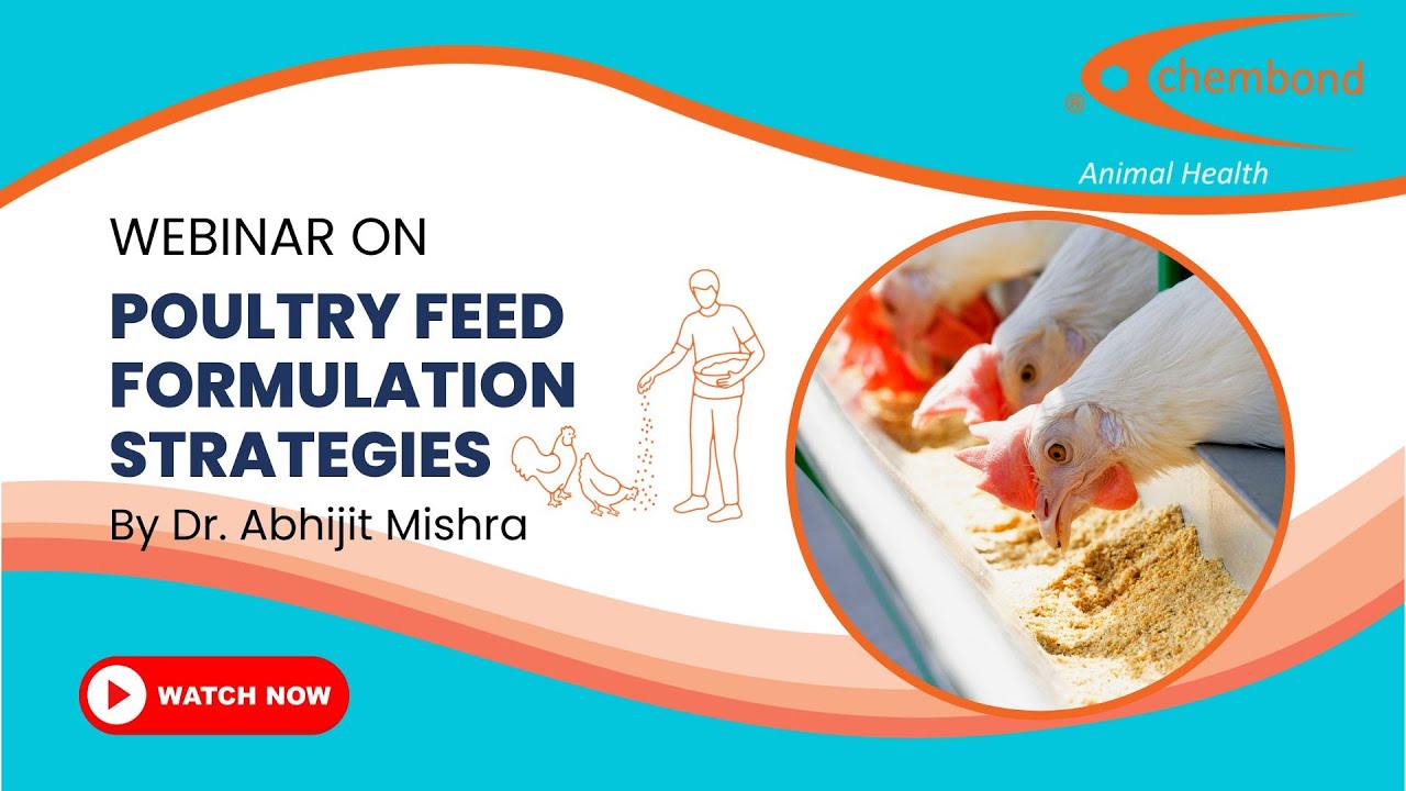 Success in Poultry Farming: Feed Formulation Tips by Dr. Abhijit Mishra, Chembond Biosciences Ltd