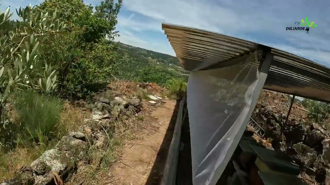 Projeto Apiário anti Asiática