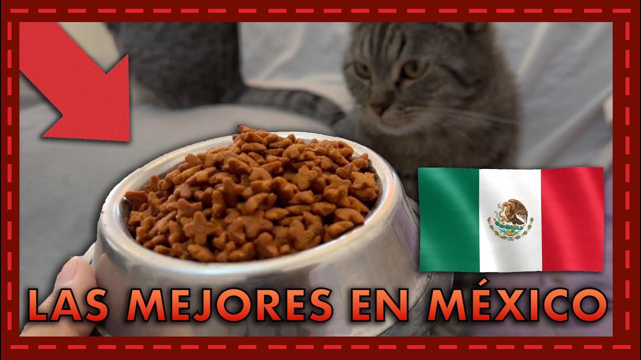 Las Mejores Croquetas para Gatos en México | Encuentra la Opción Perfecta 🐱🥇🇲🇽 