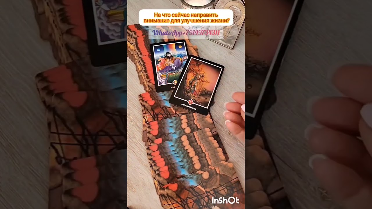 #предсказание