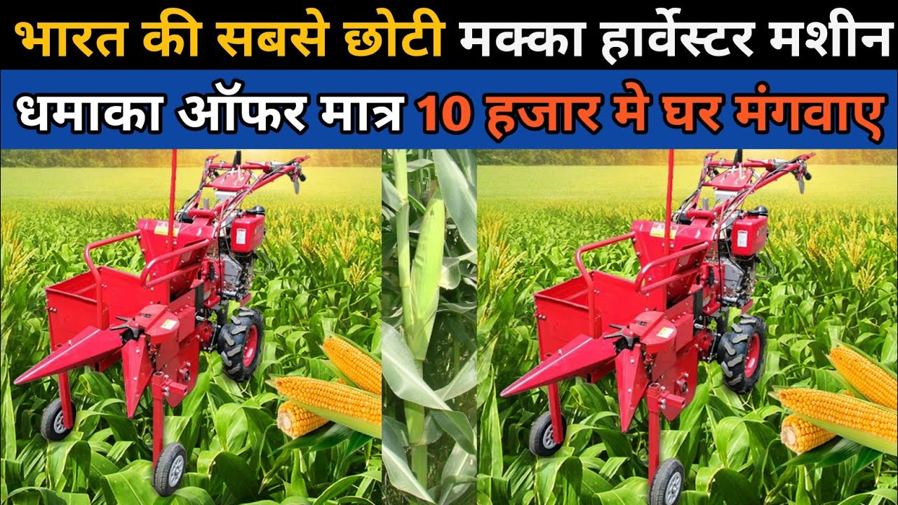 2025 में कमाल हो गया अब हो जाएगी मक्का हार्वेस्टिंग बहुत ही आसान॥Corn Harvester॥Small Corn Harvester