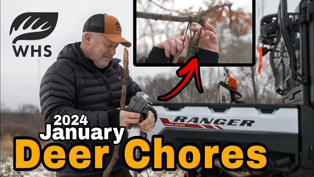 January Deer Hunting Chores