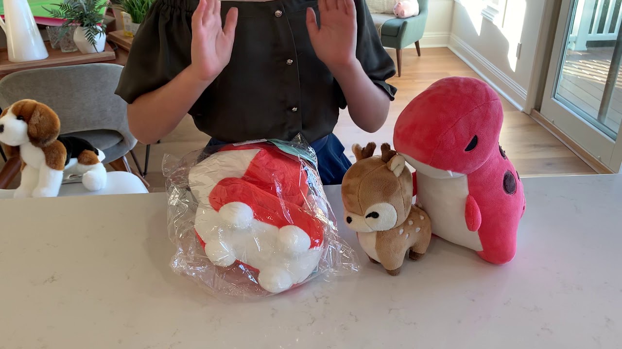 Bellzi Foxxi Review