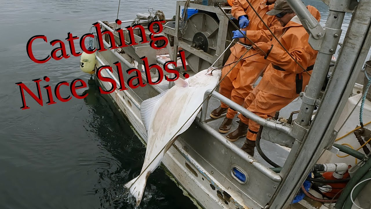 Big Fish on the Line! - Alaska Halibut Fishing | Longline Season 2024