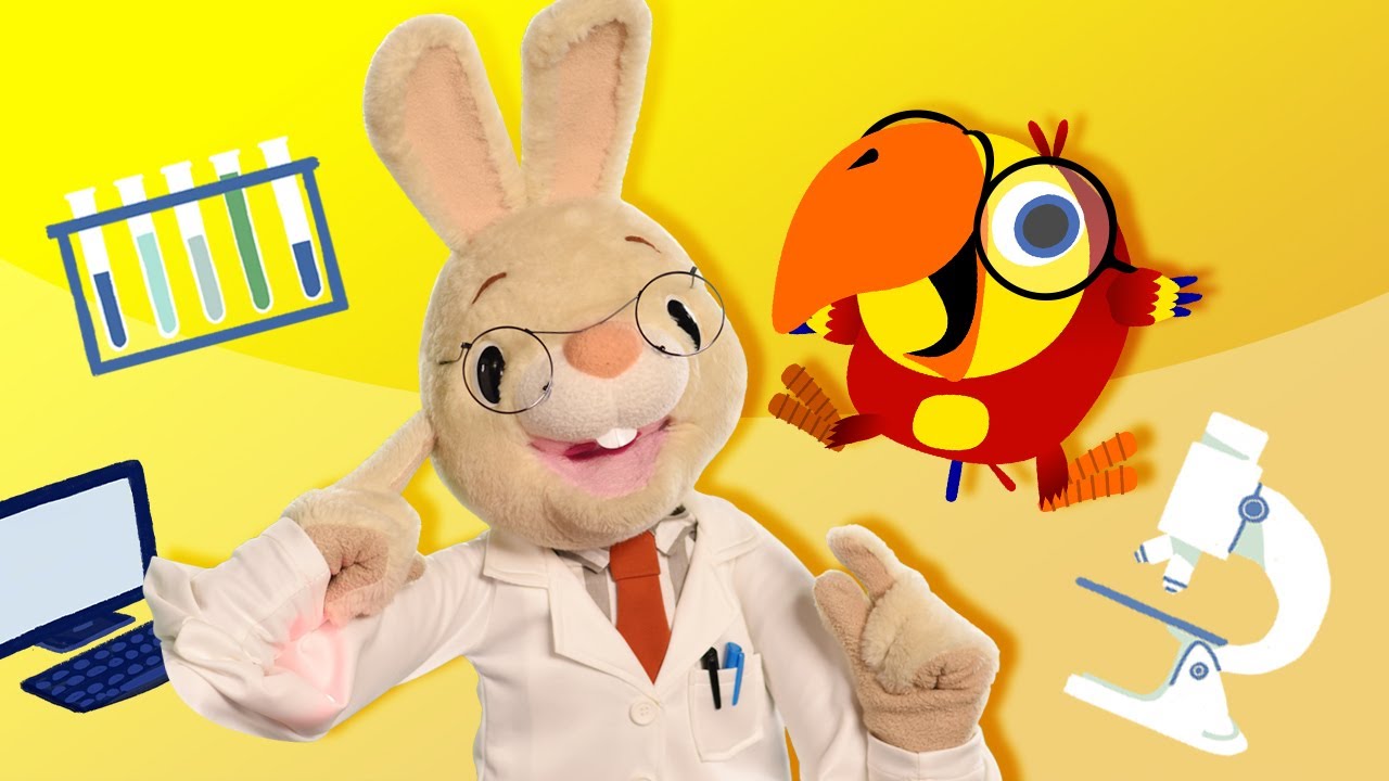 Harry The Bunny Song & Harry and Larry Compilation - Doctor | Educational Videos for Preschoolers