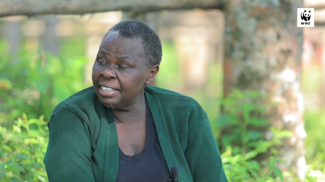 Women in the Forestry Value-Chain