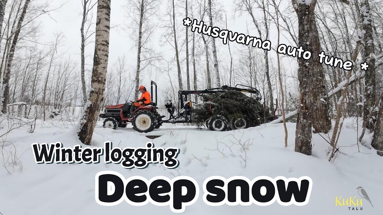 Winter micro forestry