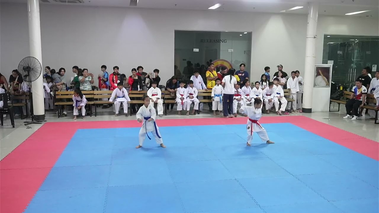 T3 Kata   Match 21   2026 Pacific Mall Mandaue Karate Tournament