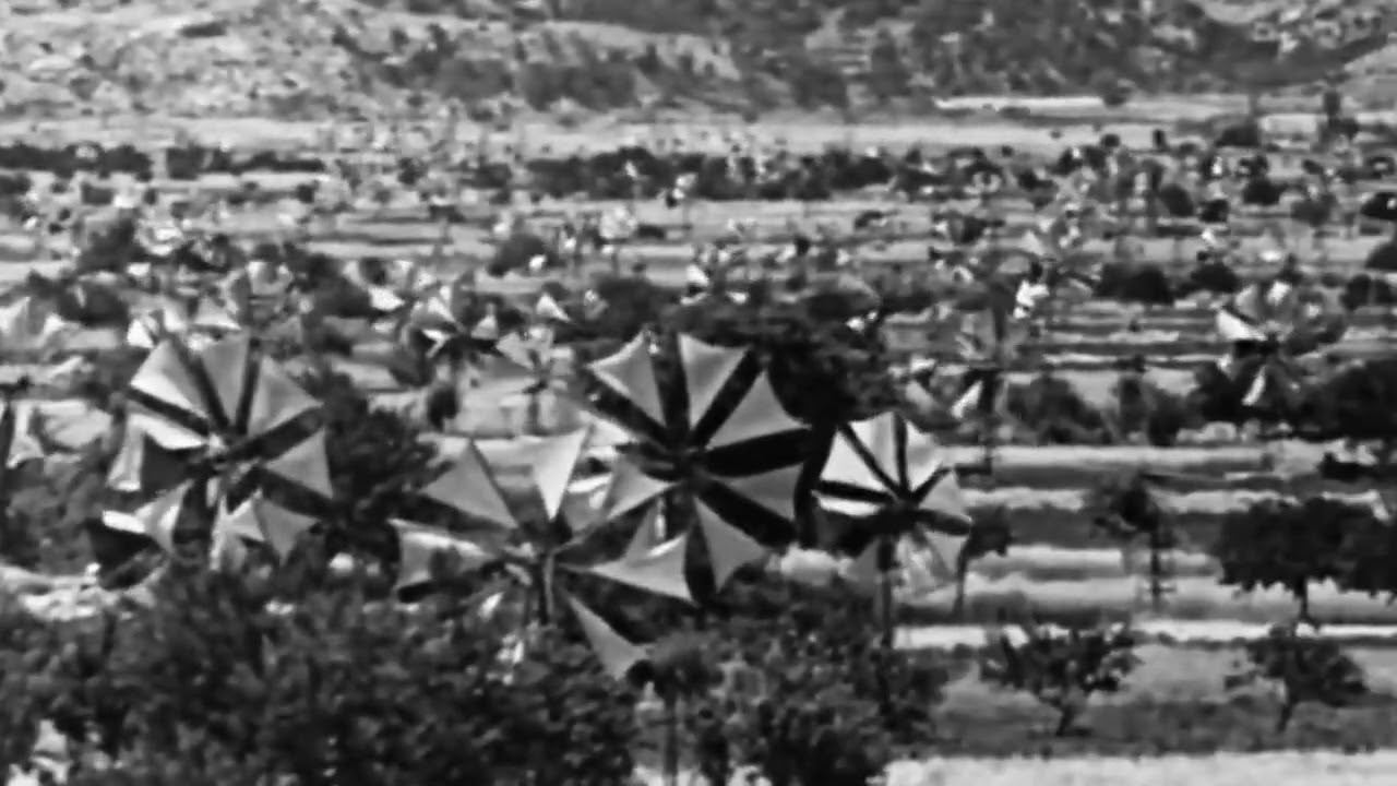 The Valley with 10000 Windmills - excerpt from Werner Herzog's film 