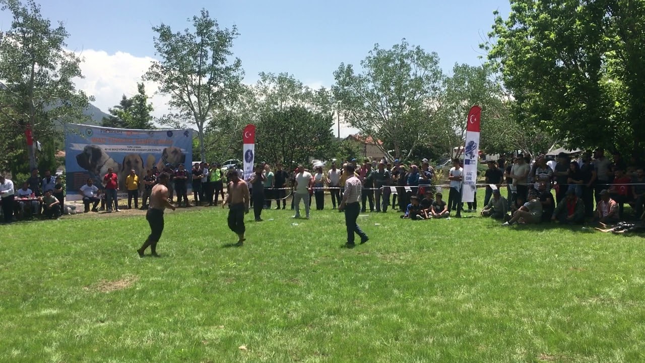 kumavşarı spontane gelisen ata sporu güreşimiz