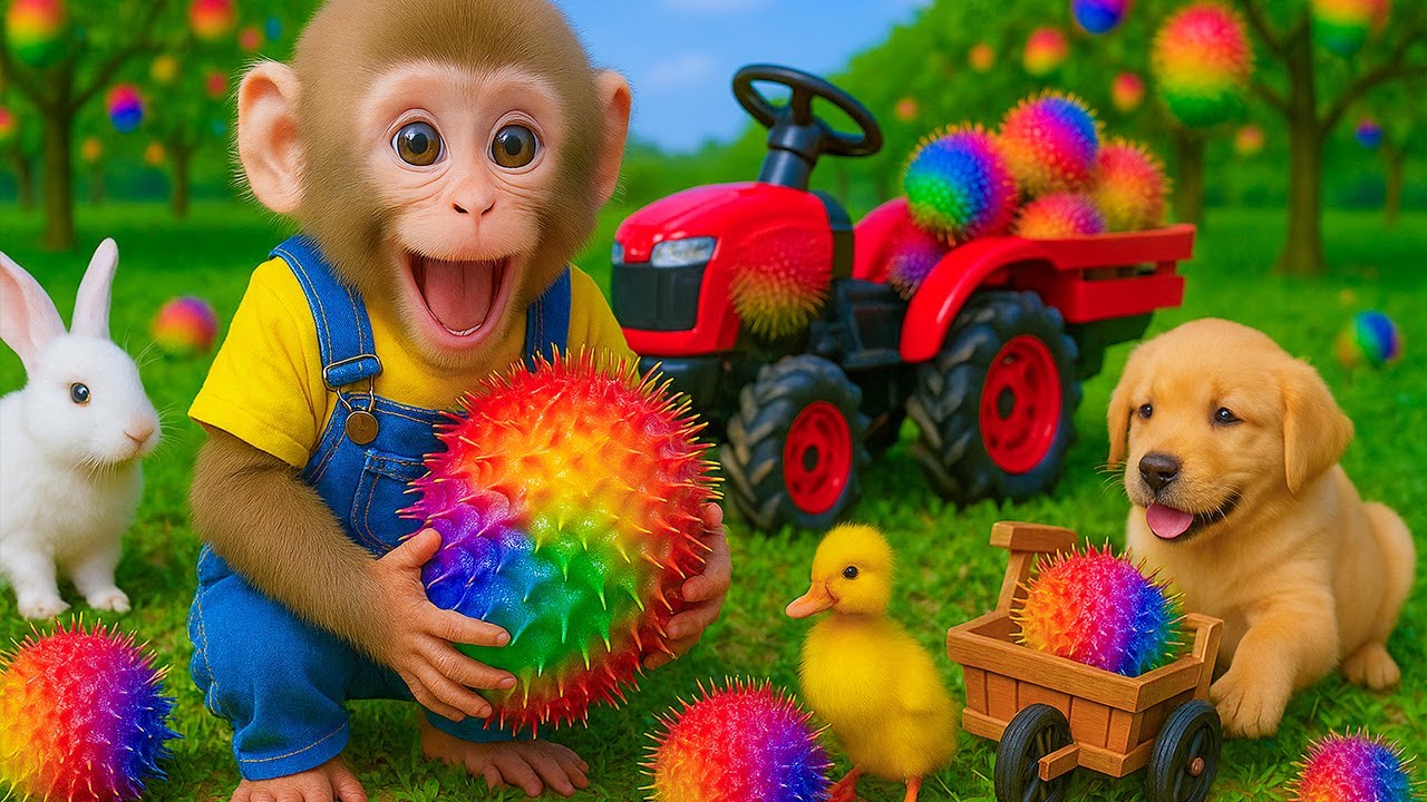 Mono cherry ConduceTractor y Vive una Aventura de Picnic en el Huerto Frutas Colores con los Amigos